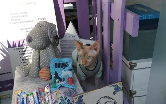 Imagen 2 de la galería