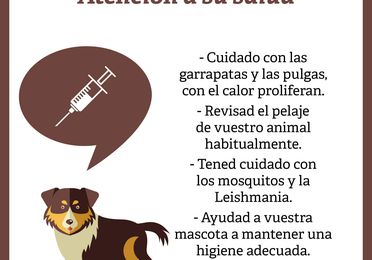 Consejos para tu mascota