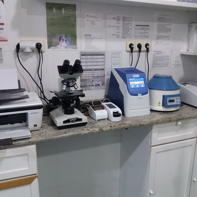 Laboratorio propio: Servicios de Clínica principal Veterinaria Puerto Mazarrón