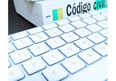 Otros servicios de obtención de información