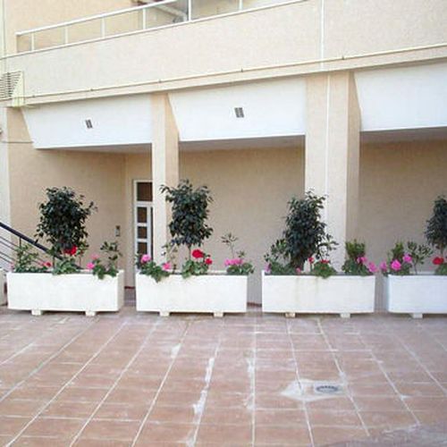 Empresas de jardineria Malaga | Plante Verde
