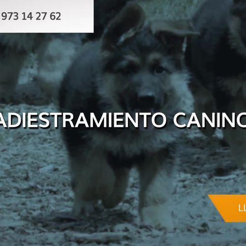 Residencias caninas en Lleida | Borgescan Escuela y Residencia Canina