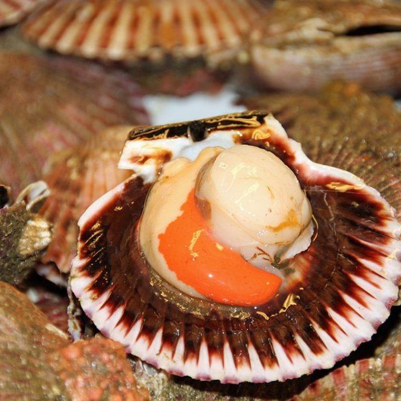 Pescados: Servicios de Tamarises Izarra