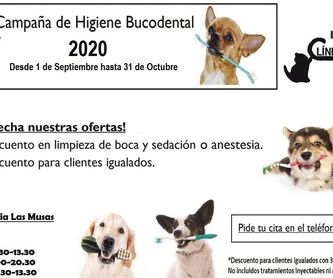Campaña de prevención de leishmania: Peluqueria Canina y Felina  de Clínica Veterinaria Las Musas