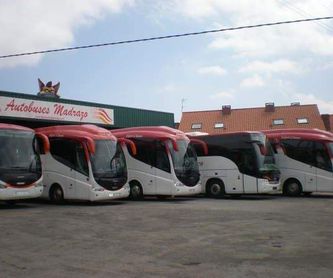 Circuitos culturales: Servicios  de Autocares Madrazo