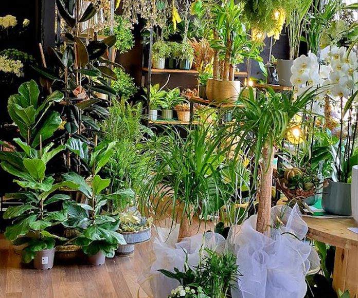 Floristería Natura Jardín
