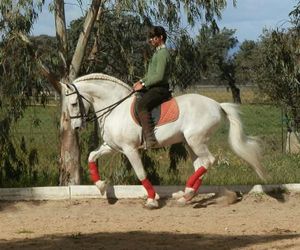 Clases de equitación en Don Benito, Badajoz