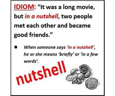 Idiom of the day: In a nutshell