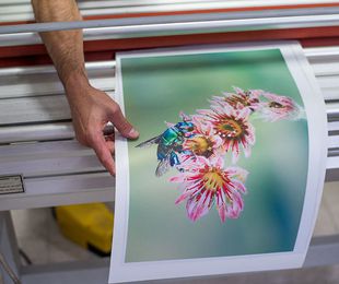 Laminado de fotografías