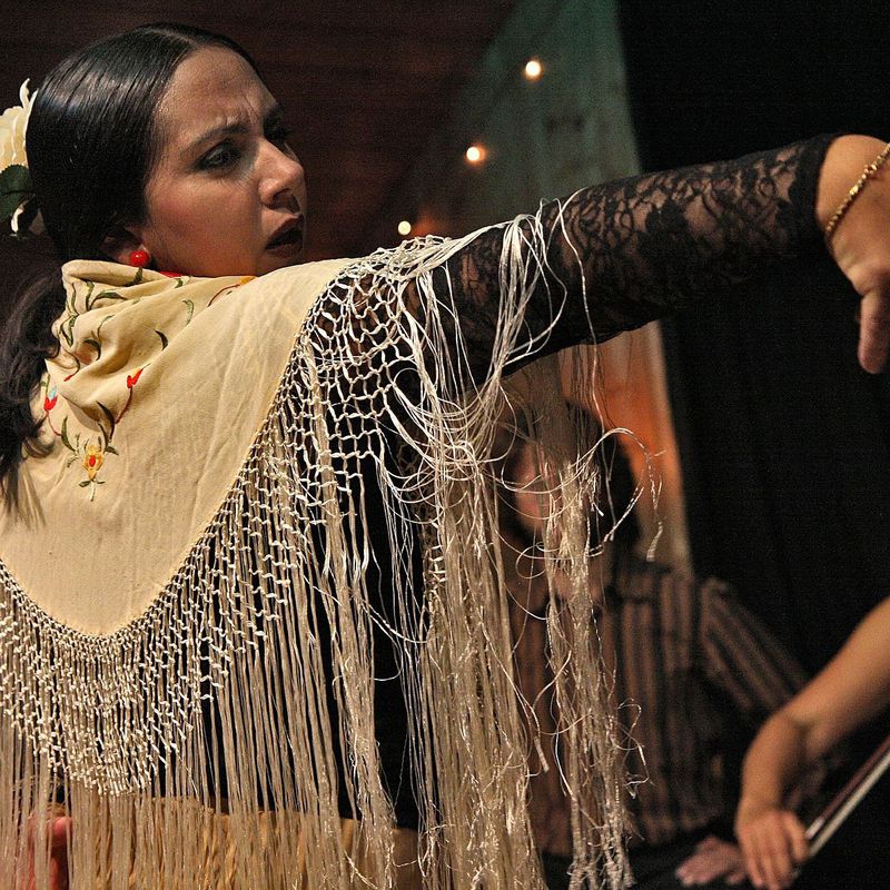 Flamenco: Cursos de Estudio de Danza Daphne