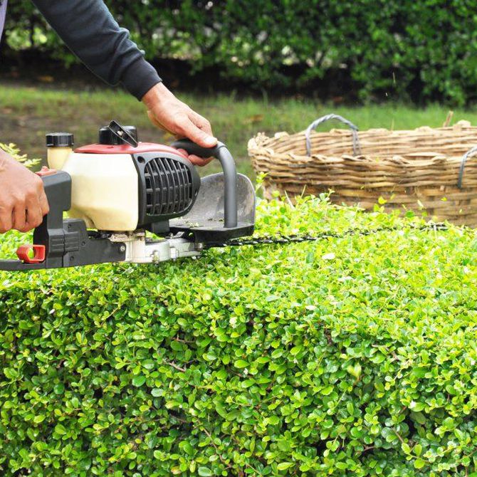 Por qué deberías contratar a un experto en el mantenimiento de jardines
