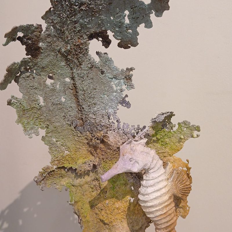 "Coral con Posidonia"