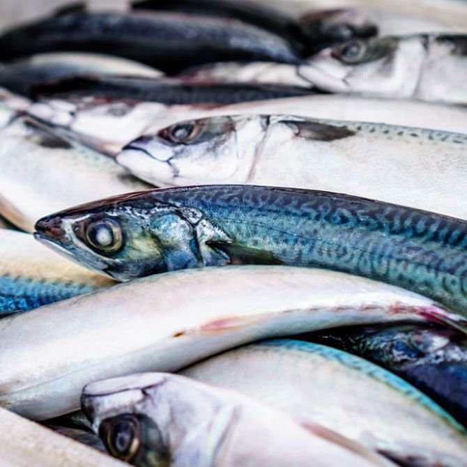 La importancia del pescado en la cocina vasca