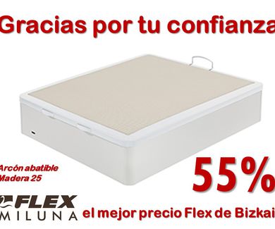 Black Friday hasta el 11/12