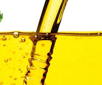Tratamiento, desinfección y control de plagas: Servicios recogida de aceite de Reciclados Deter-Oil