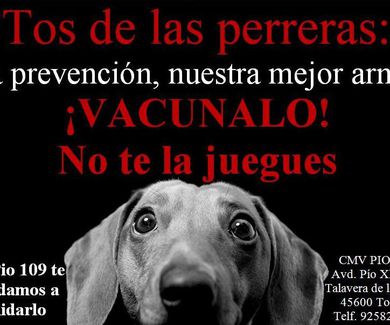 Campaña de vacunación frente a la tos de las perreras