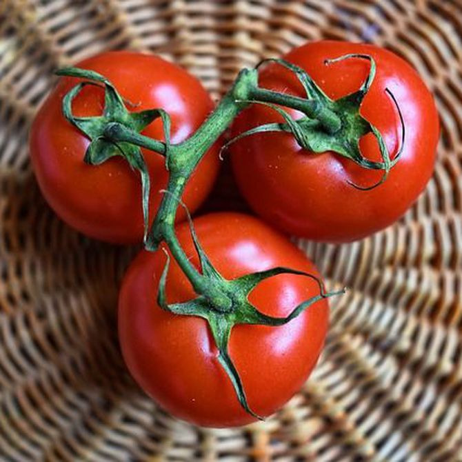 El tomate, un superalimento que no puede faltar en tu dieta