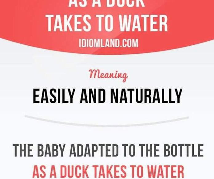 Idiom: As a duck takes to water