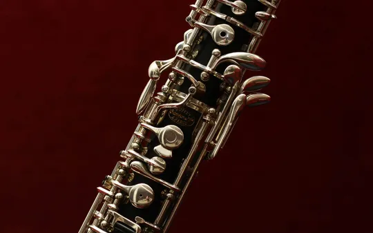 Imagen 2 de la galería