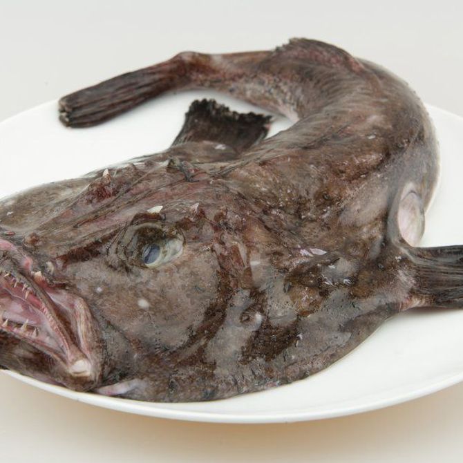 La importancia de un proveedor de pescado confiable en la rentabilidad de tu restaurante