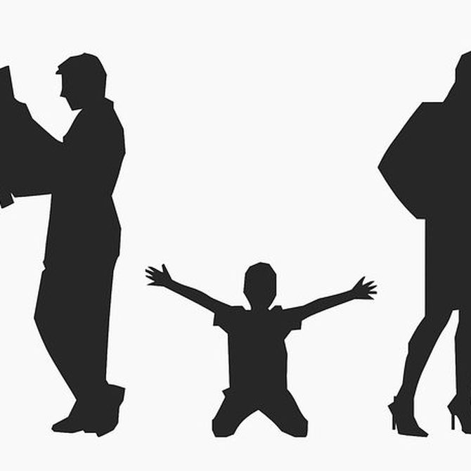¿Qué es la patria potestad, guardia y custodia de los hijos?