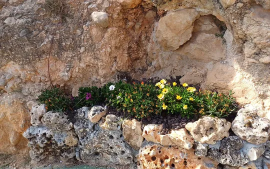 Imagen 3 de la galería