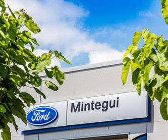 Ford 2024 Puma Gen E22: Catálogo de Ford Mintegui
