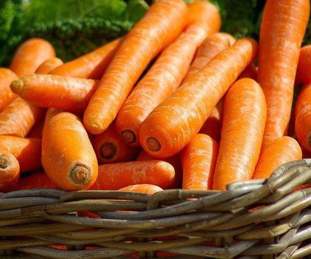 Desmontando y confirmando mitos sobre las zanahorias