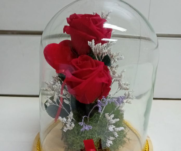 2 rosas preservadas: CATALOGO de Floristería Manuela