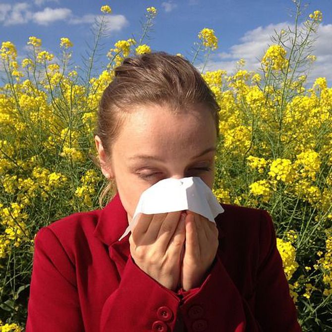 Las alergias y la conducción