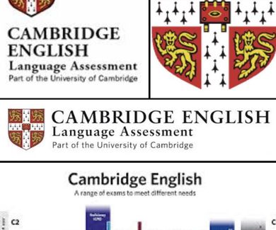 Cambridge examination results