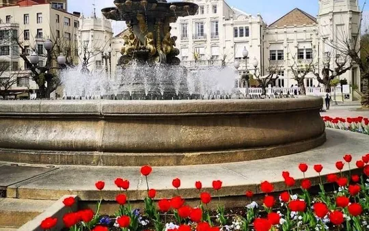 Imagen 5 de la galería