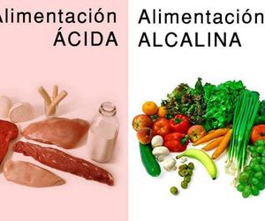 Alimentación ácida y alcalina