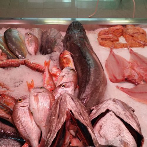Pescado fresco y congelado en Las Palmas