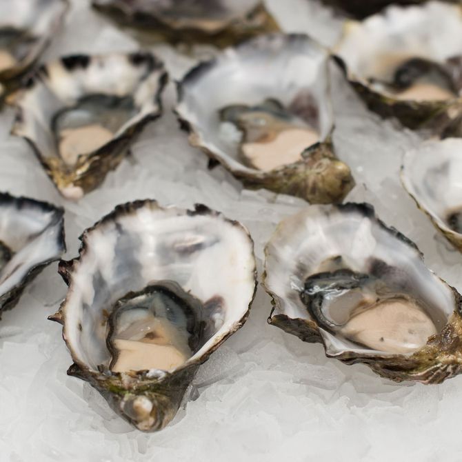 Los beneficios de las ostras en la salud