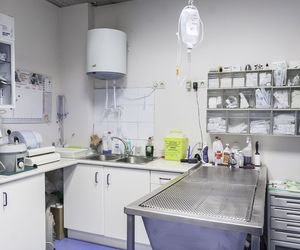 Clínica veterinaria en Avilés