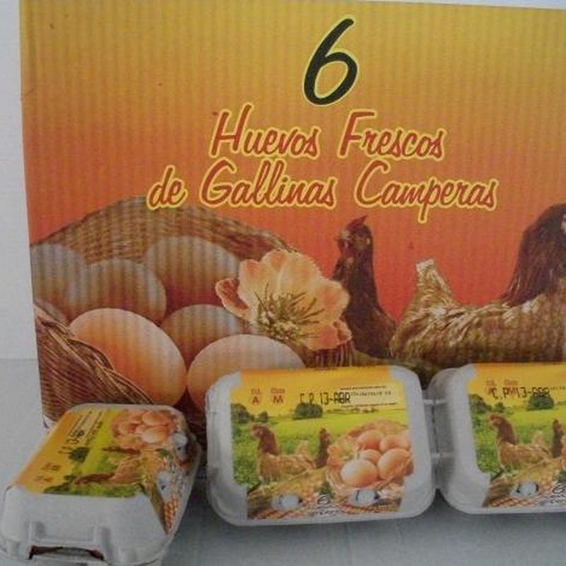Huevos Frescos Camperos - Carnicería Catala