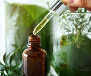 Extractos naturales ricos en la vitamina E