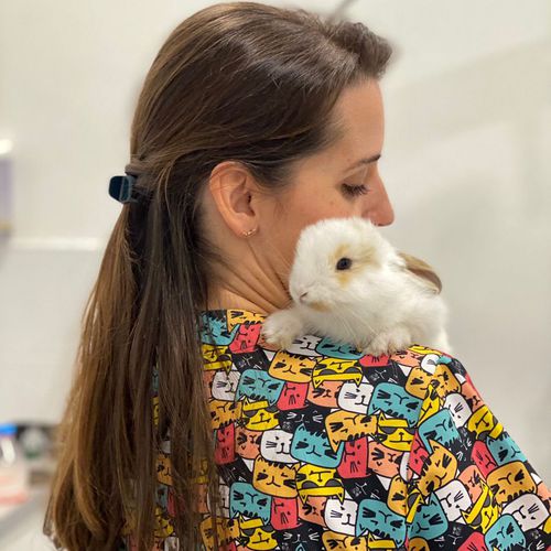 Clínica veterinaria en Tenerife