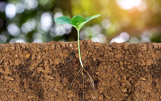 Imagen 2 de la galería