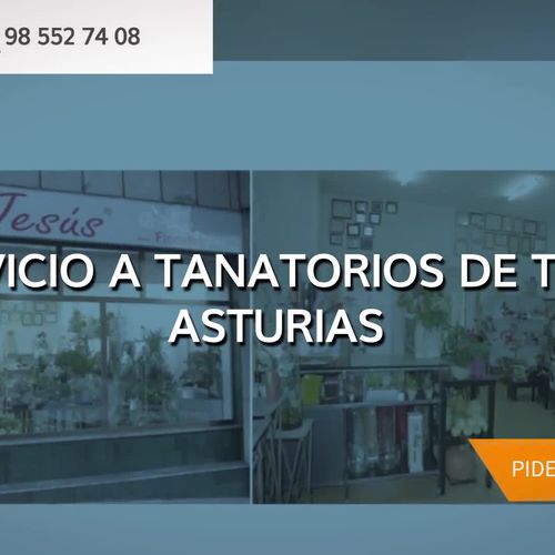 Floristerías en Avilés | Mª Jesús Floristas