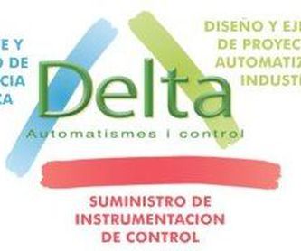 Servicios de ingeniería: Servicios de Delta Automatisme i Control