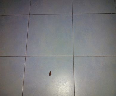 Test Samuel otro 7
