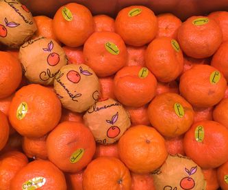 Naranjas de mesa Navelina.: Catálogo de FRUTAS PAULA