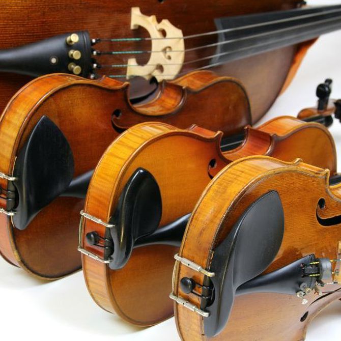 Violín, viola, violonchelo y contrabajo: ¿quién es quién?