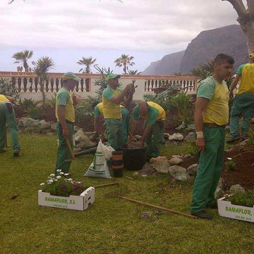 Construcción de jardines en Santa Cruz de Tenerife 