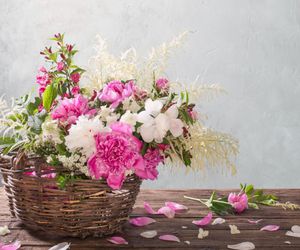 Los beneficios de tener flores en el hogar