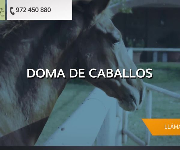 Clases de doma y paseos a caballo en Castelló d'Empúries | Yeguada Claudio Pot