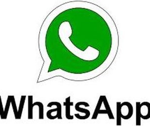 Pueden contactar con nosotros a través de WhatsApp en el telf: 695 56 00 77
