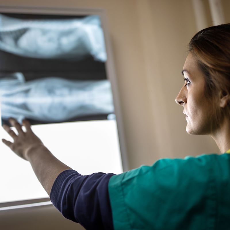 Radiografía: Servicios de Clínica Veterinaria Llíria